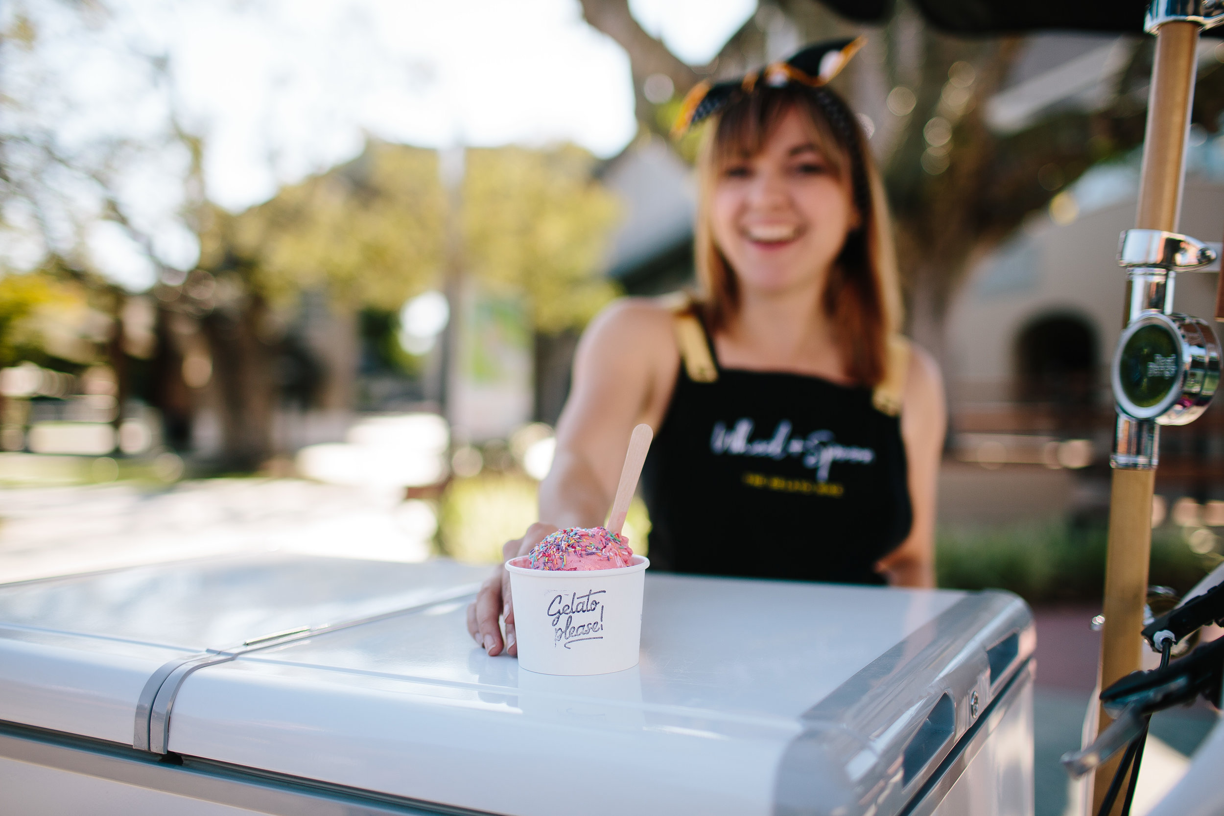 Brisbane-wedding-ice-cream-cart-food-catering