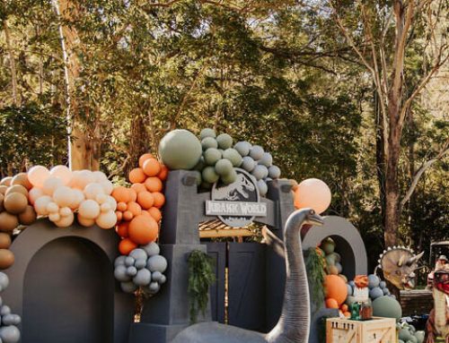 KIDS PARTY IDEAS- DINOSAUR PARTY & MORE